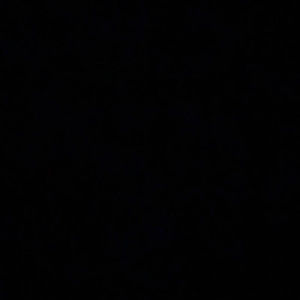 Meet your Posher, Malik